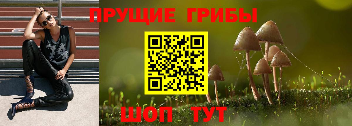 Псилоцибиновые грибы Magic Shrooms  Вход с VPN  Благодарный 