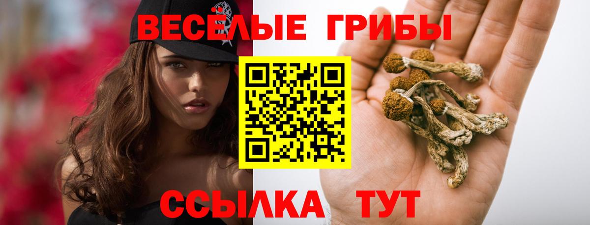 Галлюциногенные грибы Psilocybe Благодарный